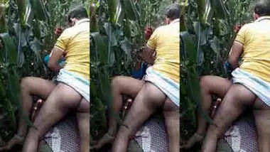 Desi village wife fucking by neighbor lover in Corn fields at day time